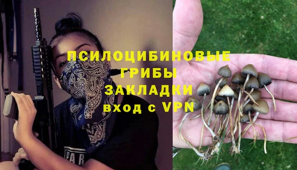 кокс Приозерск